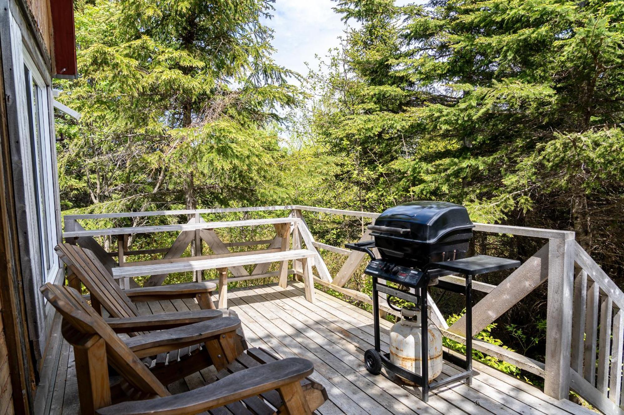 Auberge de jeunesse Auberge/Chalet Griffon Aventure à L'Anse-au-Griffon Extérieur photo